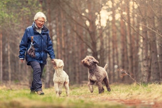 Senior Kvinde Går Tur Med To Hunde I Skoven